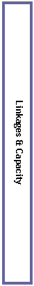 Text Box: Linkages & Capacity